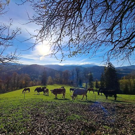 Apartmán Erlebnisbauernhof Gutschi Ranch Kamp Exteriér fotografie