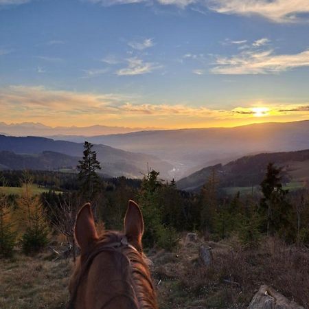 Apartmán Erlebnisbauernhof Gutschi Ranch Kamp Exteriér fotografie