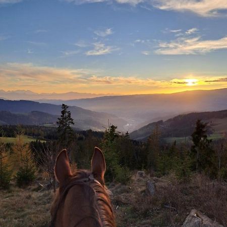 Erlebnisbauernhof Gutschi Ranch Kamp Exteriér fotografie