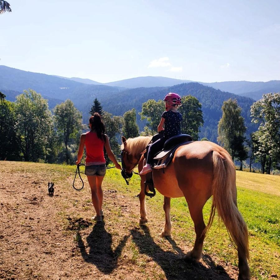 Apartmán Erlebnisbauernhof Gutschi Ranch Kamp Exteriér fotografie