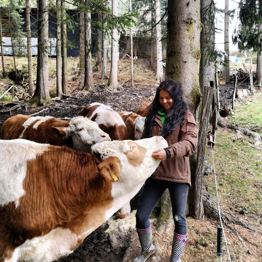 Apartmán Erlebnisbauernhof Gutschi Ranch Kamp Exteriér fotografie