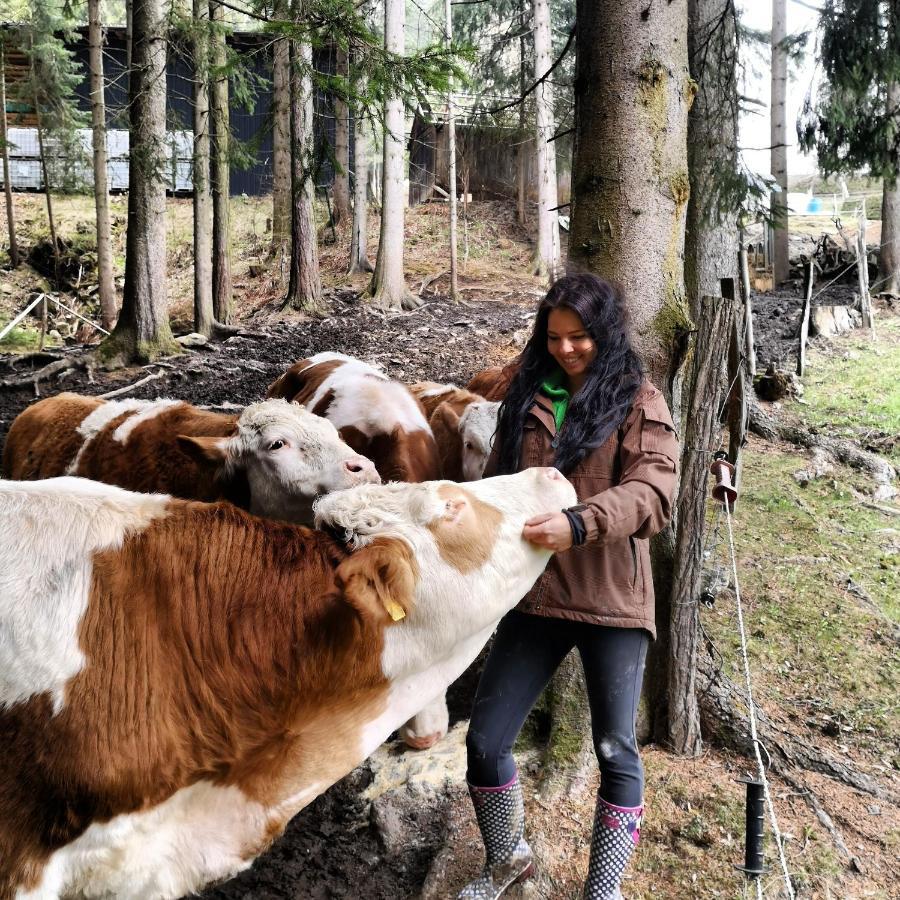 Erlebnisbauernhof Gutschi Ranch Kamp Exteriér fotografie