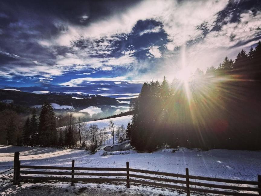 Apartmán Erlebnisbauernhof Gutschi Ranch Kamp Exteriér fotografie