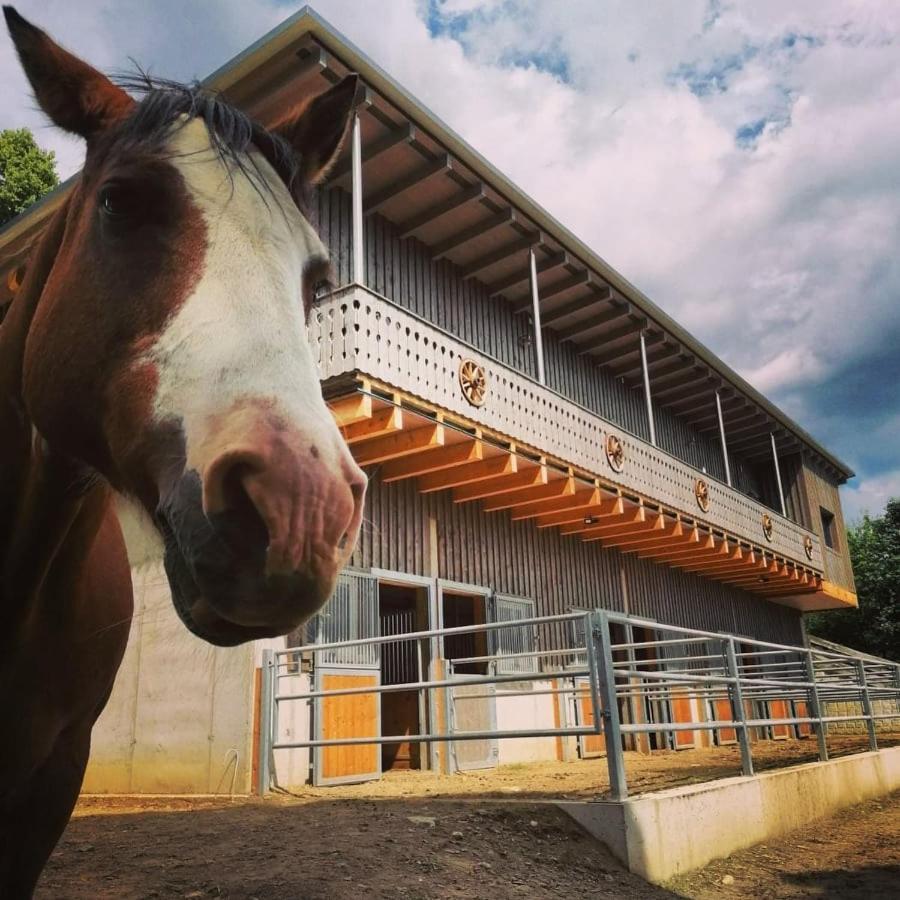 Apartmán Erlebnisbauernhof Gutschi Ranch Kamp Exteriér fotografie