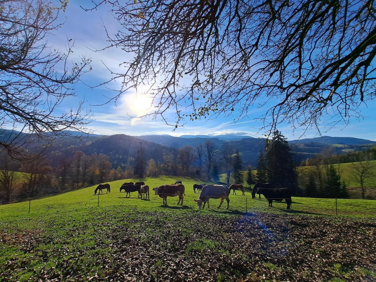 Apartmán Erlebnisbauernhof Gutschi Ranch Kamp Exteriér fotografie