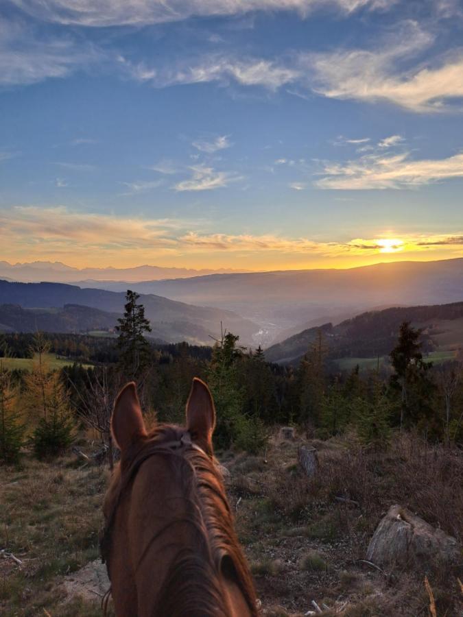 Apartmán Erlebnisbauernhof Gutschi Ranch Kamp Exteriér fotografie