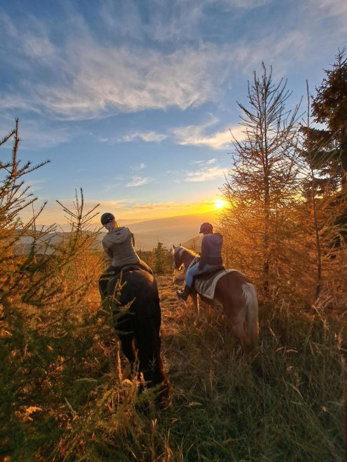 Apartmán Erlebnisbauernhof Gutschi Ranch Kamp Exteriér fotografie