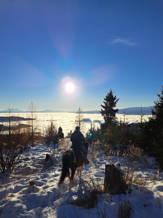 Apartmán Erlebnisbauernhof Gutschi Ranch Kamp Exteriér fotografie