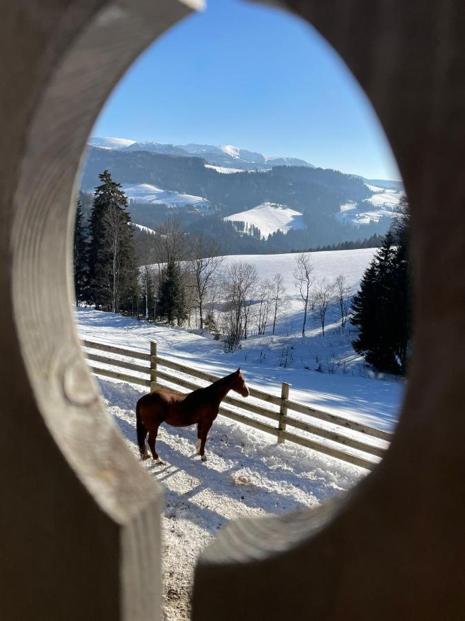 Apartmán Erlebnisbauernhof Gutschi Ranch Kamp Exteriér fotografie