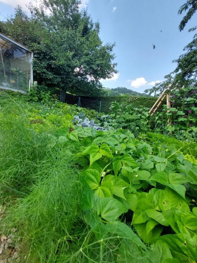 Erlebnisbauernhof Gutschi Ranch Kamp Exteriér fotografie