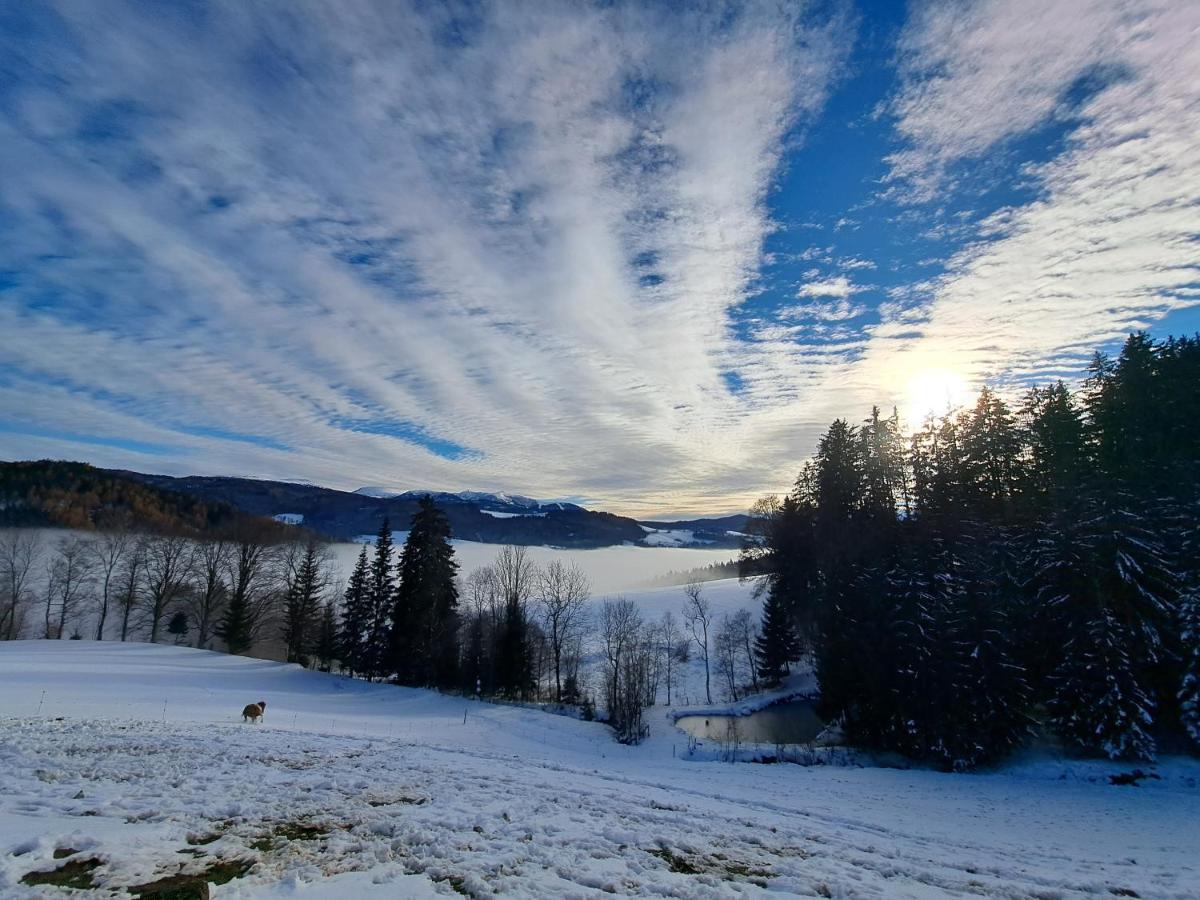 Apartmán Erlebnisbauernhof Gutschi Ranch Kamp Exteriér fotografie