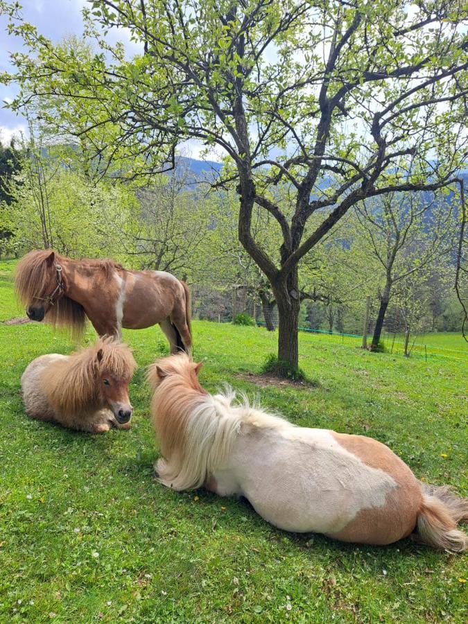 Apartmán Erlebnisbauernhof Gutschi Ranch Kamp Exteriér fotografie