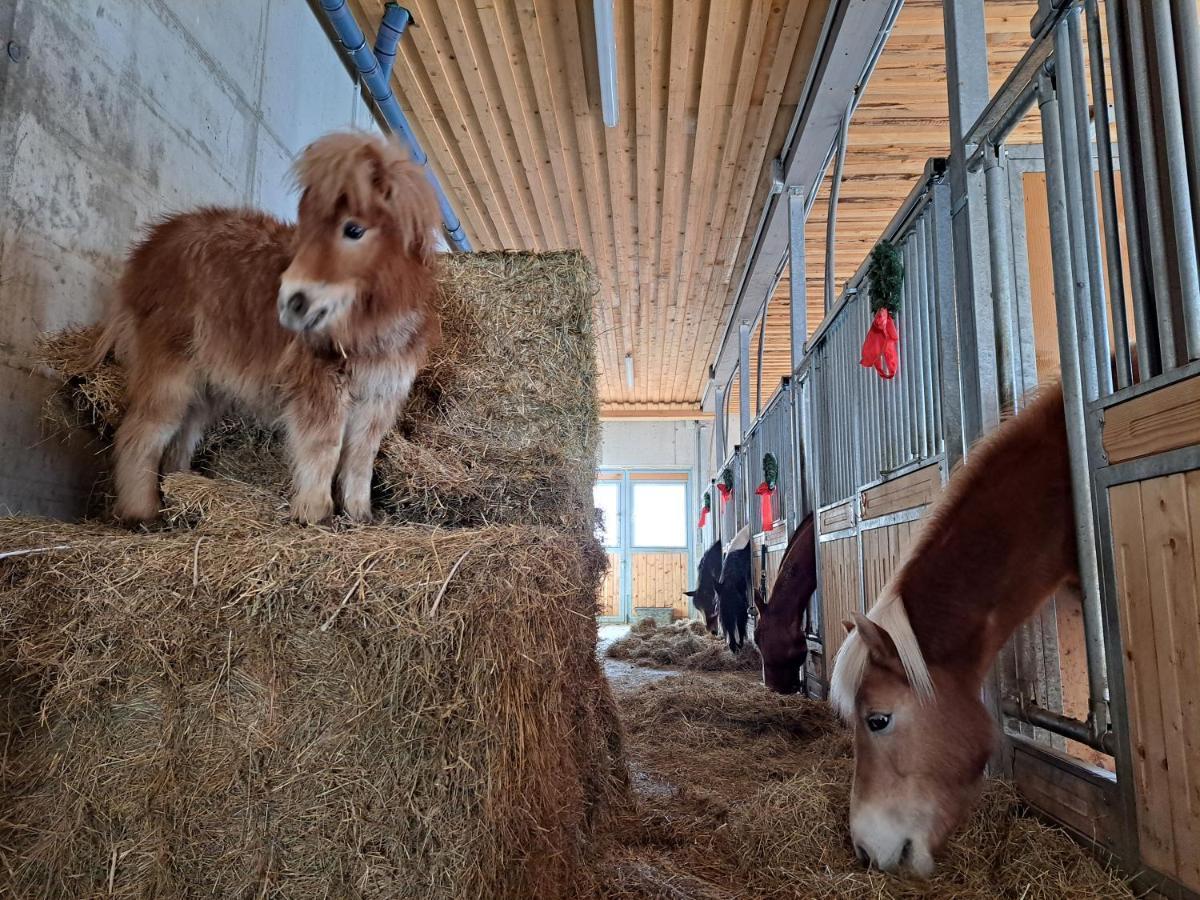 Apartmán Erlebnisbauernhof Gutschi Ranch Kamp Exteriér fotografie