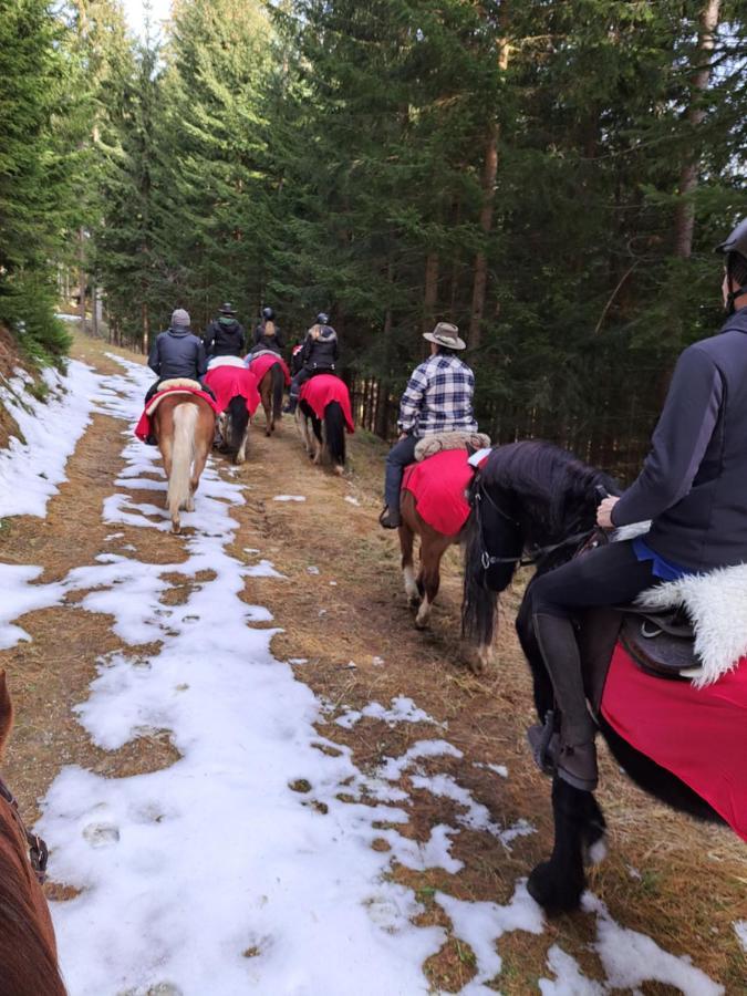 Apartmán Erlebnisbauernhof Gutschi Ranch Kamp Exteriér fotografie