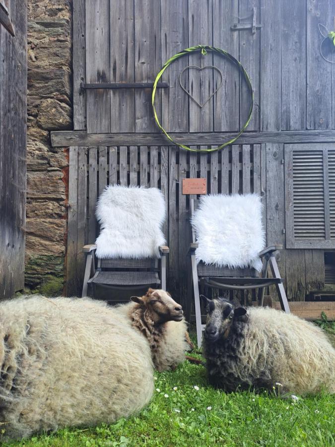 Erlebnisbauernhof Gutschi Ranch Kamp Exteriér fotografie