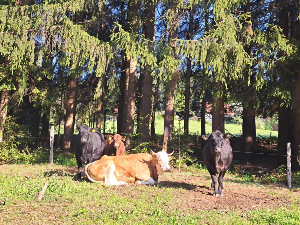 Apartmán Erlebnisbauernhof Gutschi Ranch Kamp Exteriér fotografie