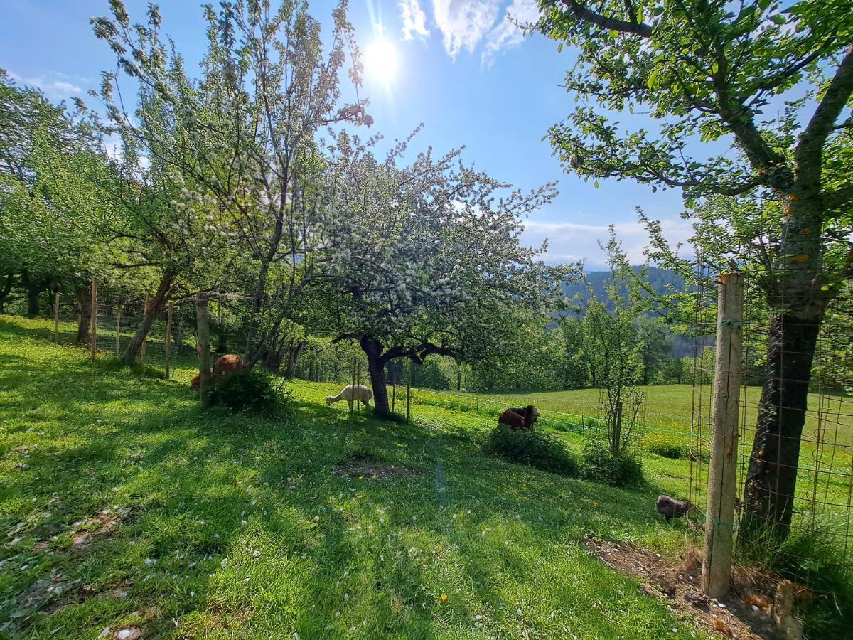 Erlebnisbauernhof Gutschi Ranch Kamp Exteriér fotografie