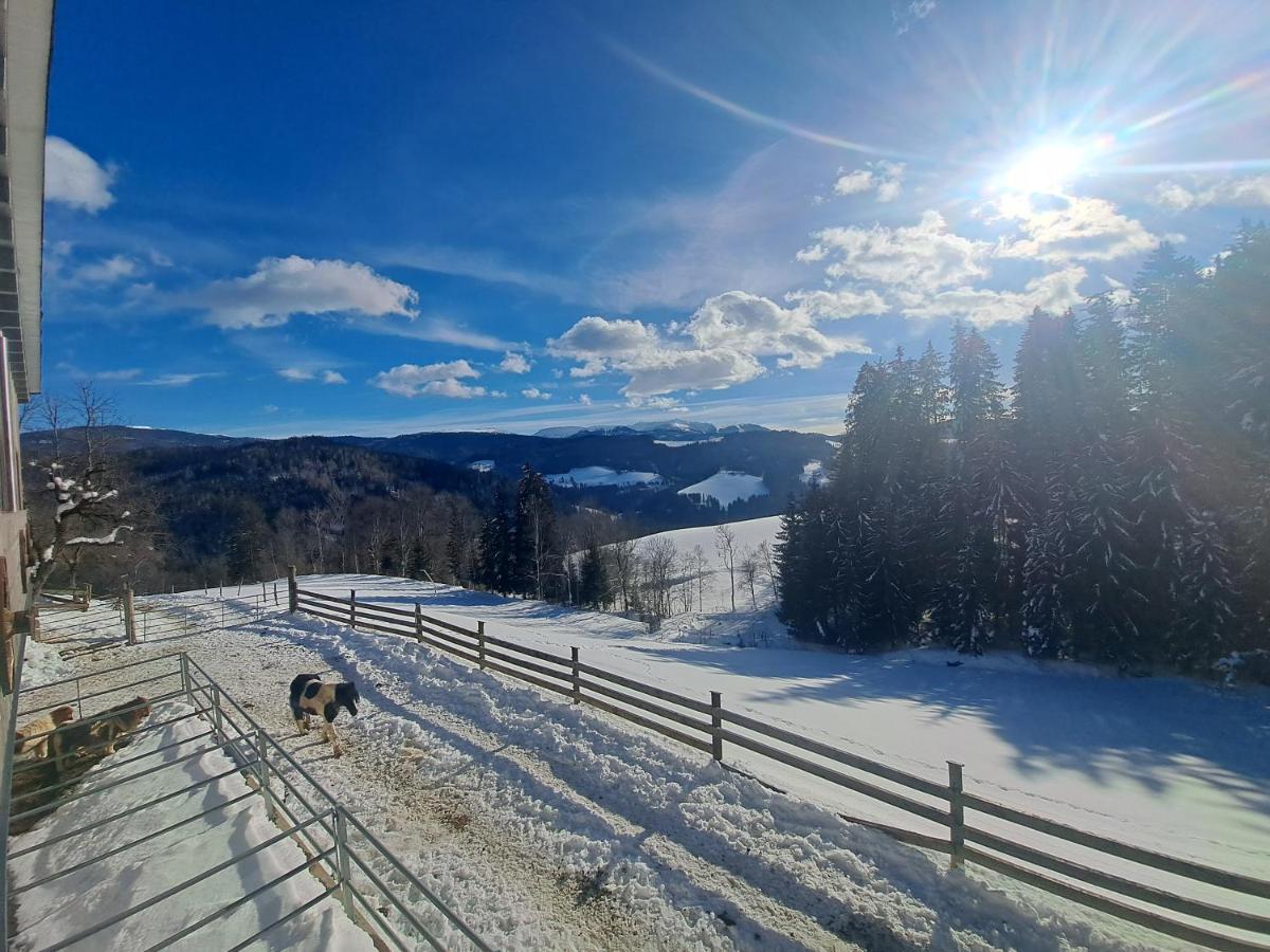 Apartmán Erlebnisbauernhof Gutschi Ranch Kamp Exteriér fotografie