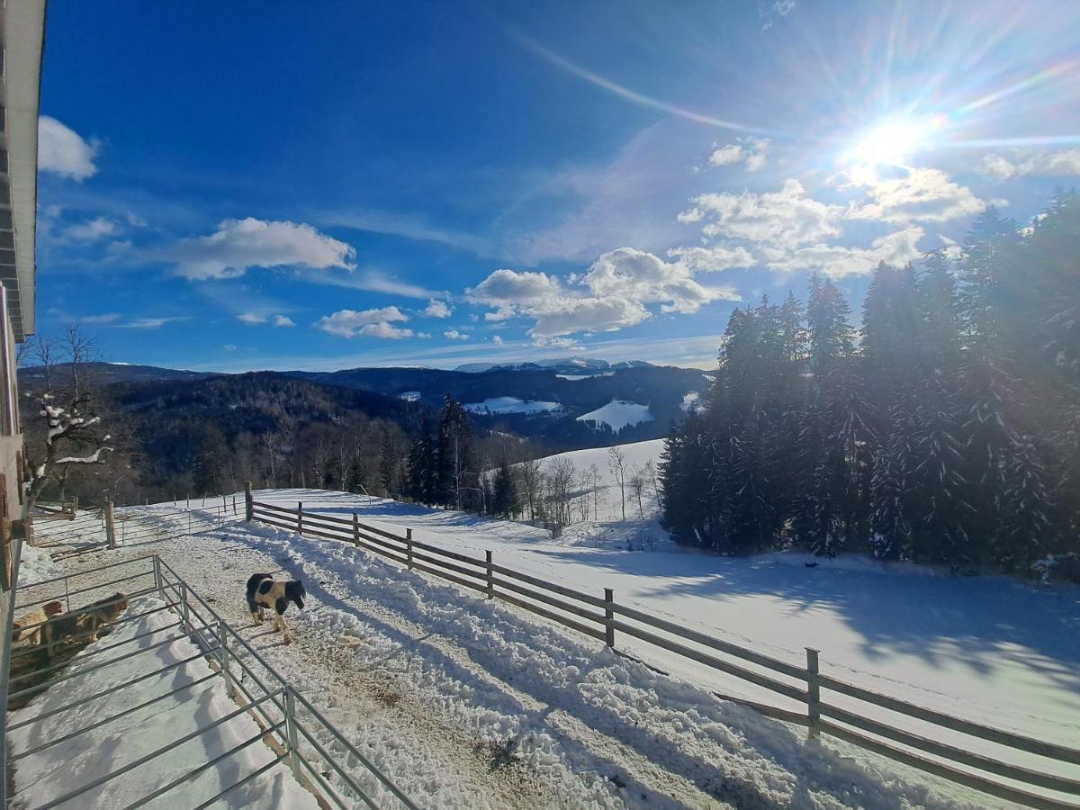 Erlebnisbauernhof Gutschi Ranch Kamp Exteriér fotografie