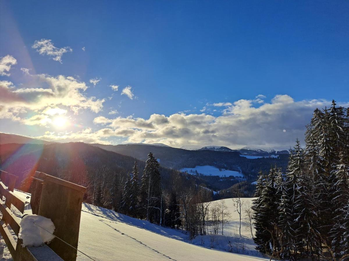 Apartmán Erlebnisbauernhof Gutschi Ranch Kamp Exteriér fotografie