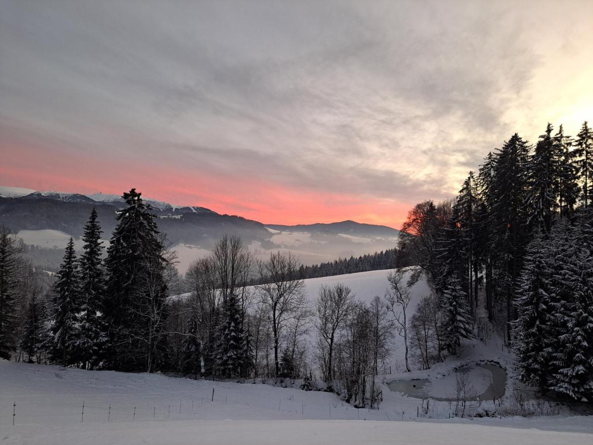 Apartmán Erlebnisbauernhof Gutschi Ranch Kamp Exteriér fotografie