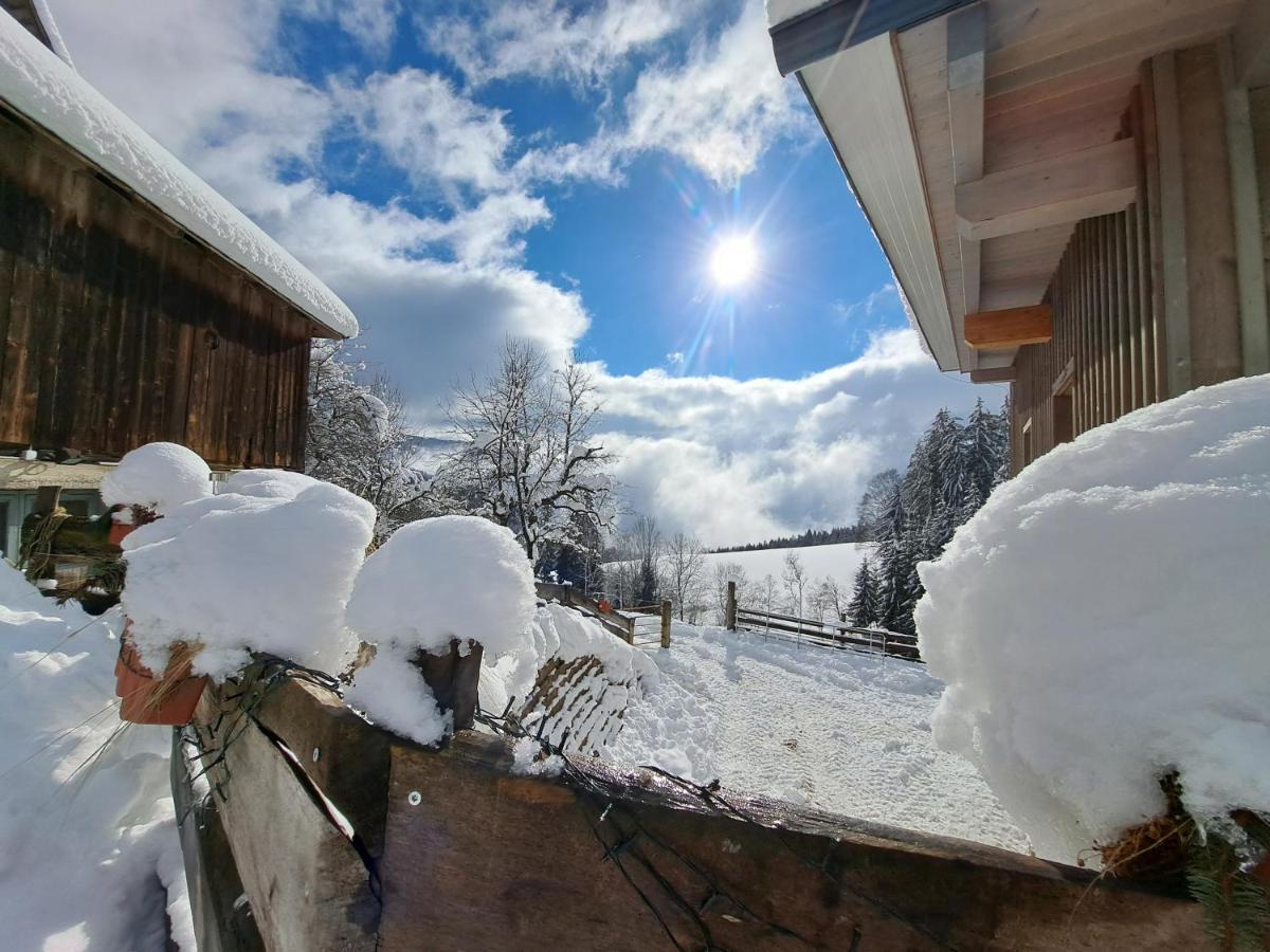 Apartmán Erlebnisbauernhof Gutschi Ranch Kamp Exteriér fotografie