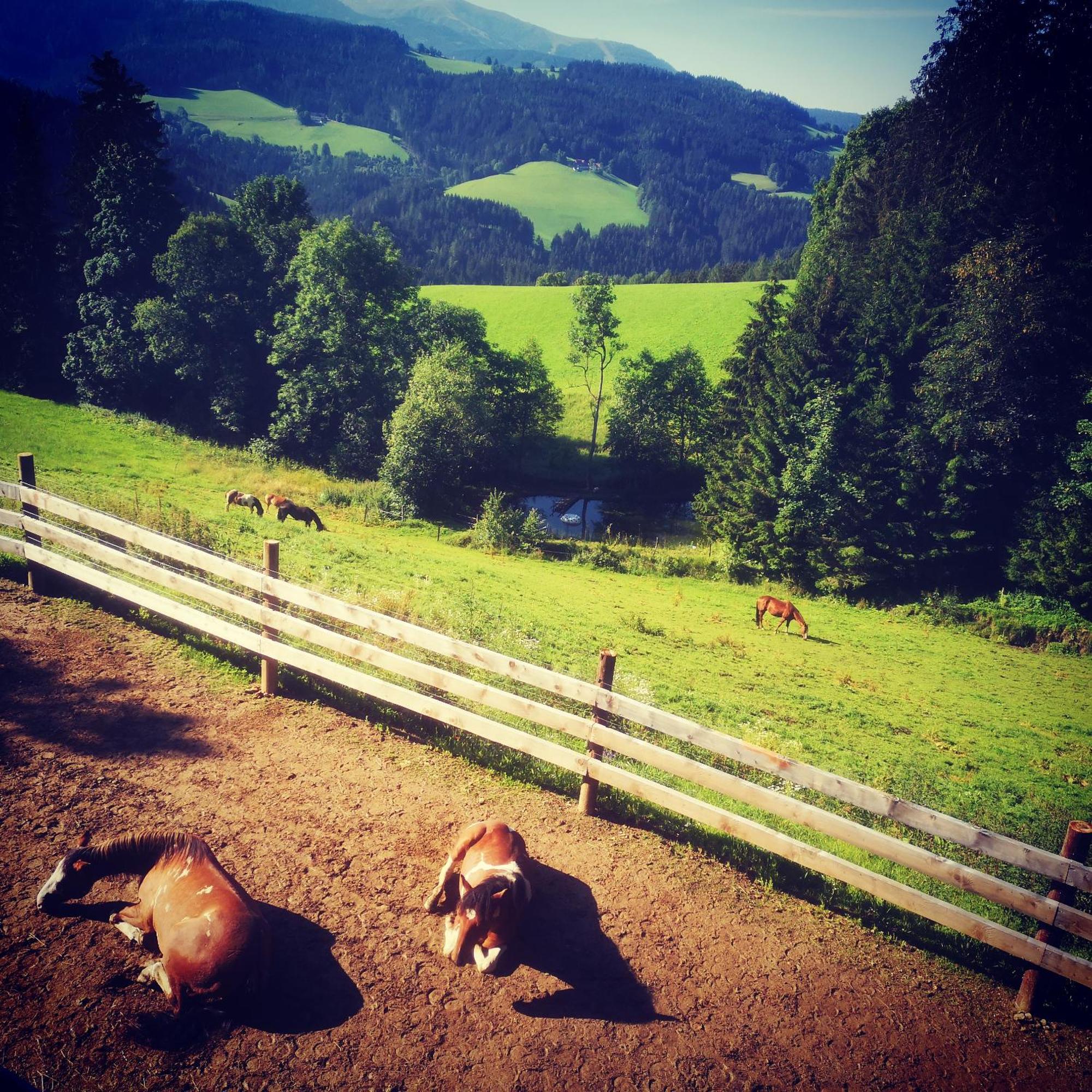 Apartmán Erlebnisbauernhof Gutschi Ranch Kamp Pokoj fotografie